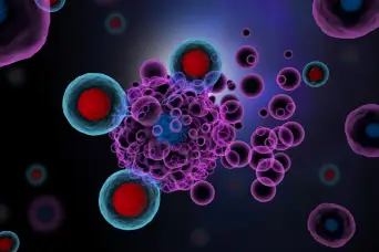 t细胞在免疫治疗过程中攻击癌细胞