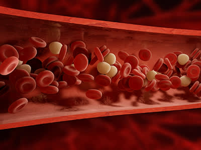 血细胞静脉。