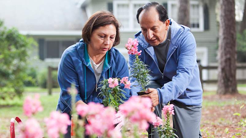 拉美裔夫妇一起园艺。