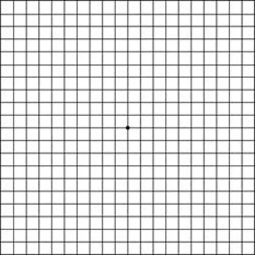 Amsler Grid.