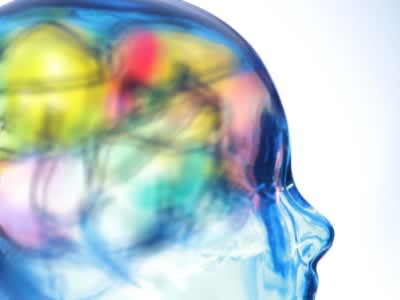 不同颜色的玻璃人头像来自于人头像的大脑区域