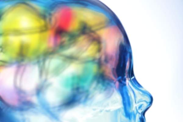 不同颜色的玻璃人头像来自于人头像的大脑区域