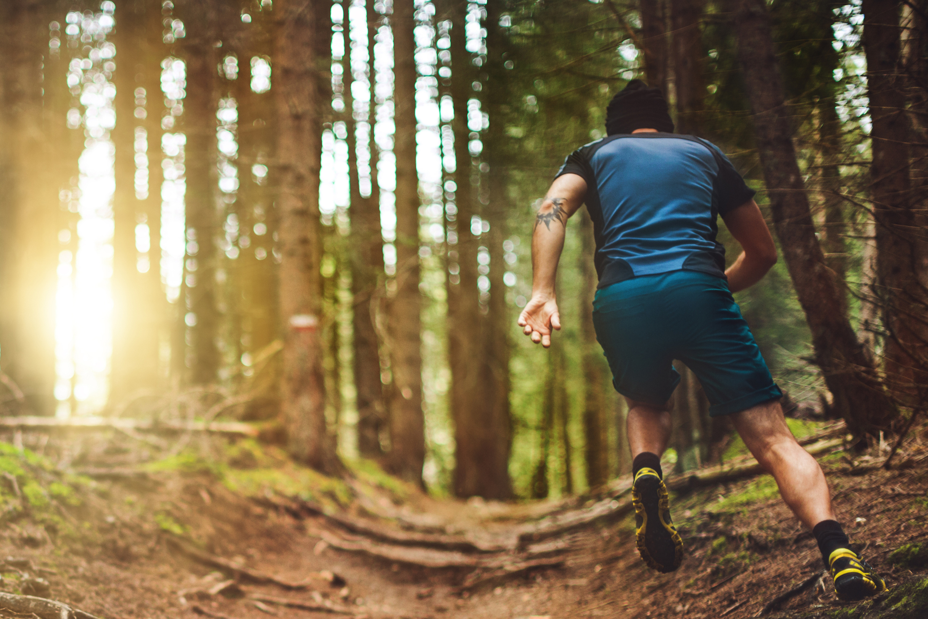 跑在森林里的人小径