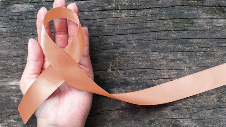 子宫内膜癌认知丝带。