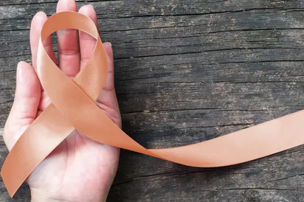 子宫内膜癌意识缎带。