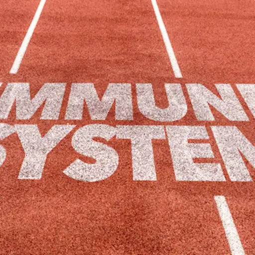 免疫系统轨道概念。