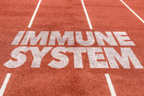 免疫系统在轨道上的概念。