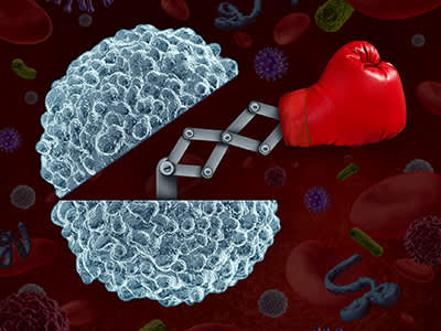 免疫系统细胞战斗的概念。