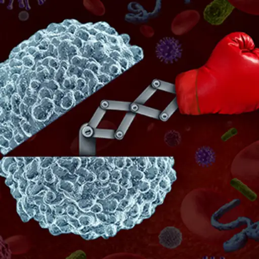 免疫系统细胞战斗概念。