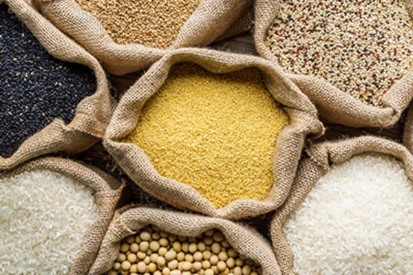不同的谷物。