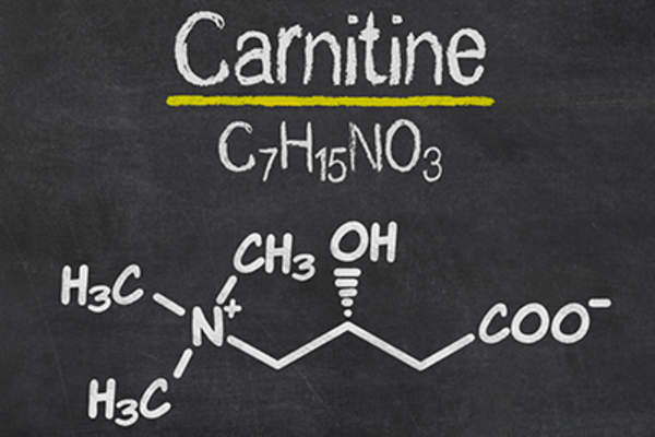 黑板上有肉碱的化学式。