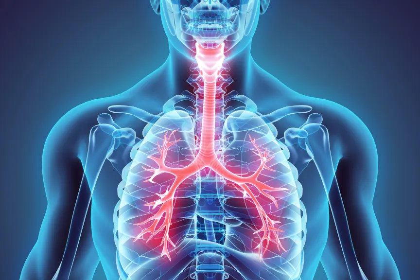 哮喘肺