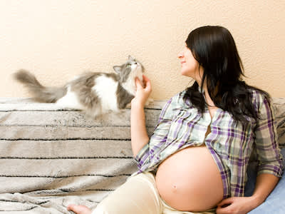 孕妇和她的猫。