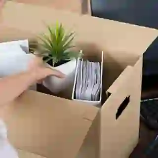 Businesswoman Packing Belongings In Cardboard Box
