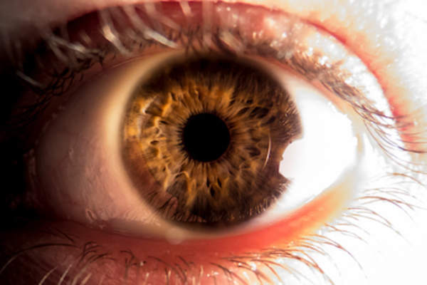 眼睛的特写,棕色。