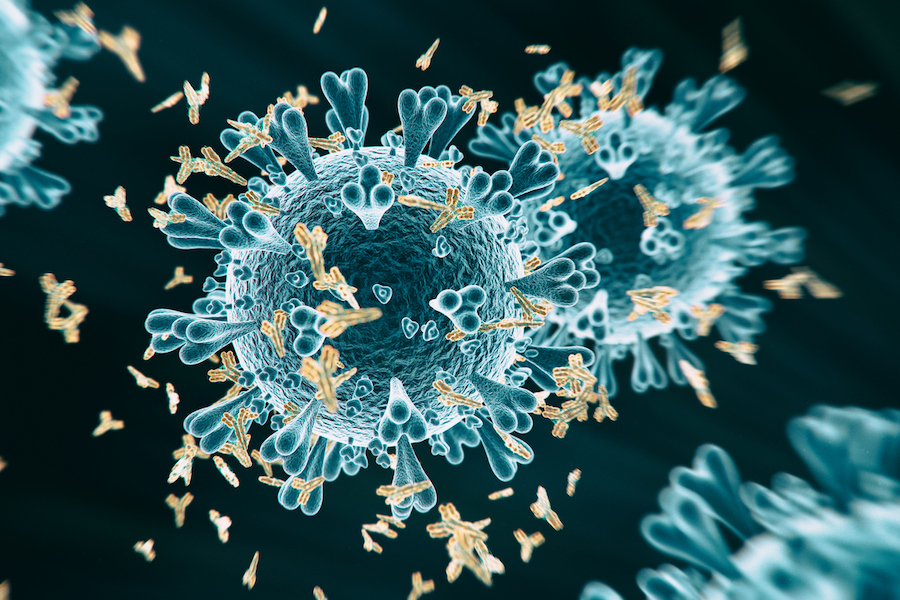 Essential Coronavirus Terms to Know Right Now