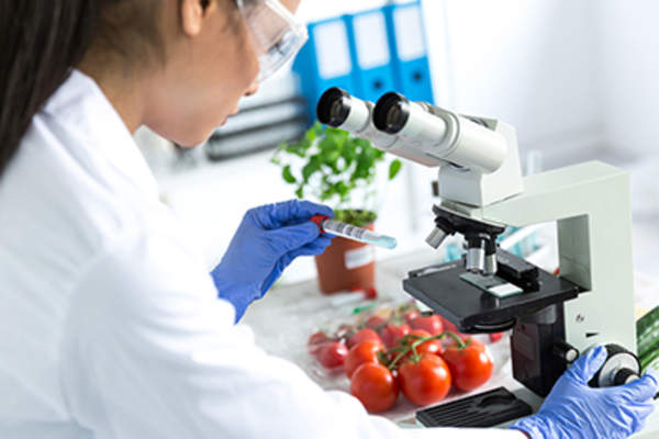 研究食物的科学家。