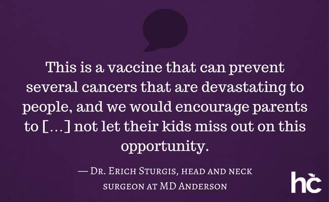 斯特吉斯拉报价