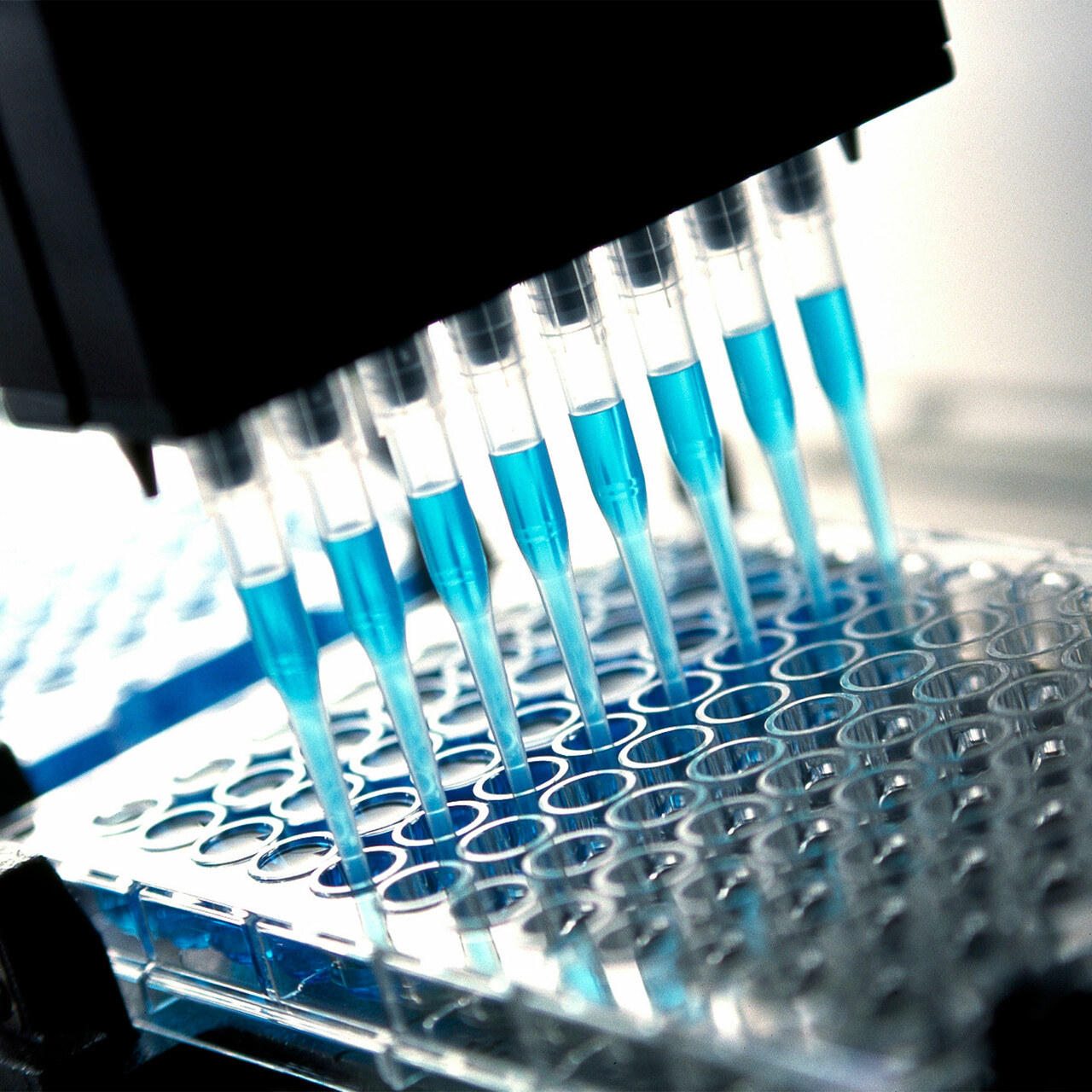 研究实验室里的移液器