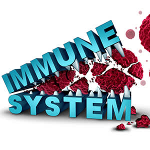 免疫系统映像