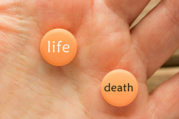 生或死的概念。