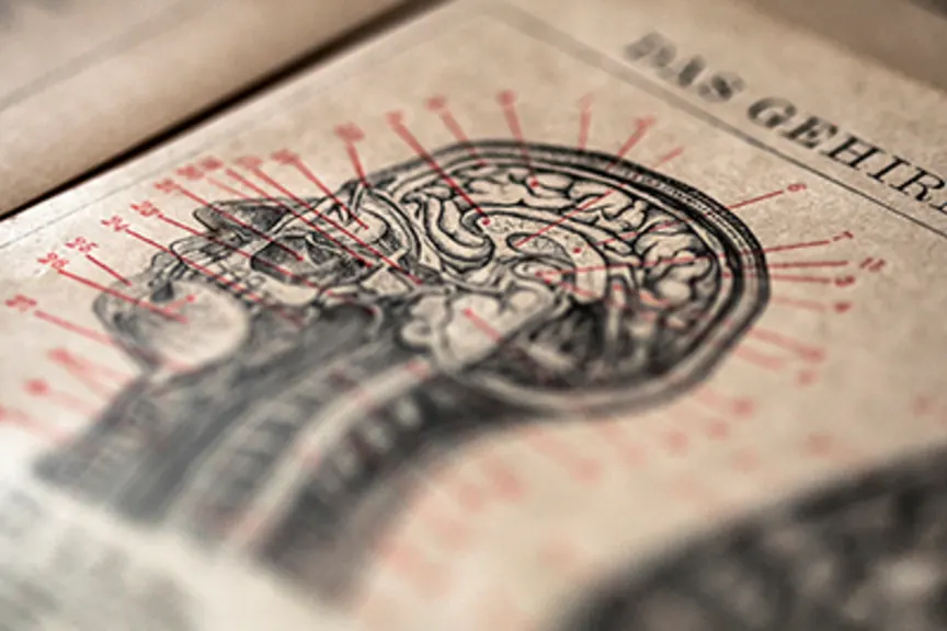 头部和颈部解剖学。