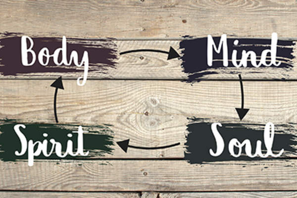 身,心,灵,魂。