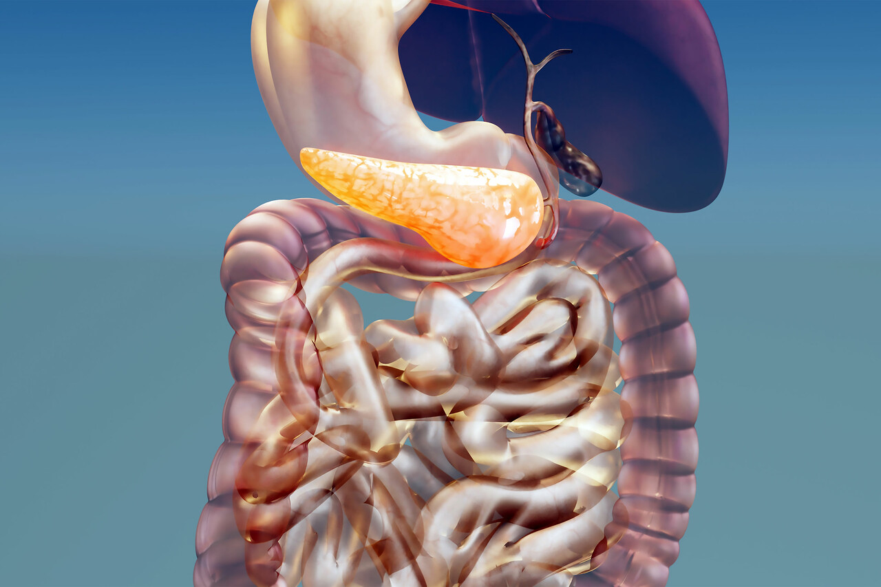 Enzymes for digestive disorders