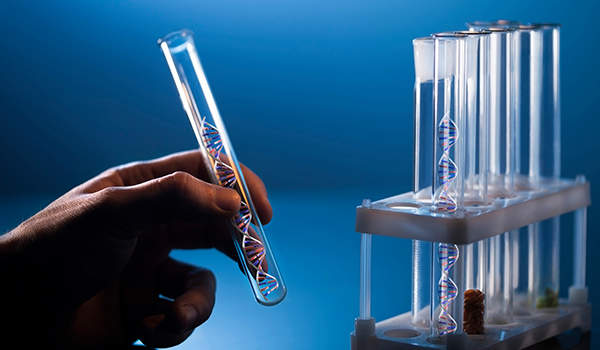 DNA在一个试管中。