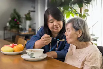 喂食高级