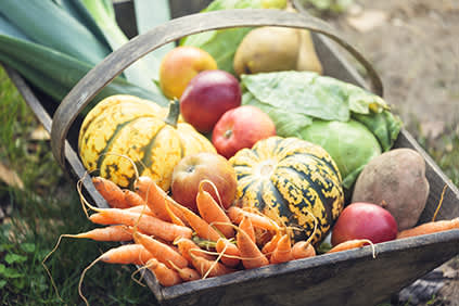 秋天在木箱里收获蔬菜。