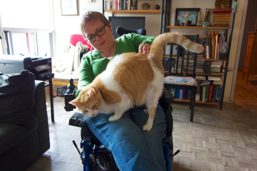 莱恩·安德森（Lene Andersen）和她的猫luy