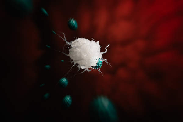 白细胞攻击病毒