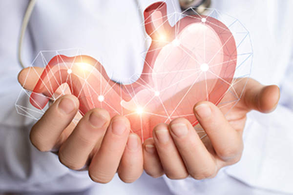 医生拿着胃部的图解。