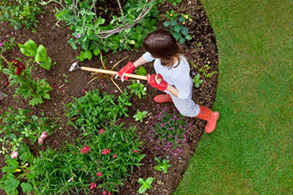 用锄头给花坛除草的女人