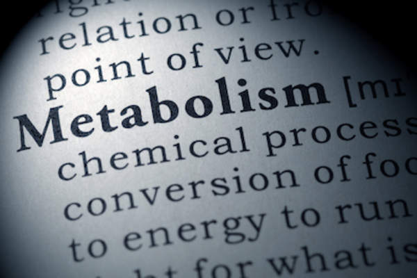 新陈代谢字典的定义