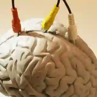 Audio visual wires plugged into a clay brain figurine.