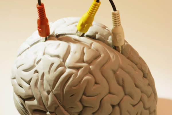 视听线插入一个粘土脑雕像。