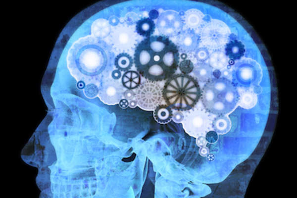 用齿轮代替大脑的头部插图