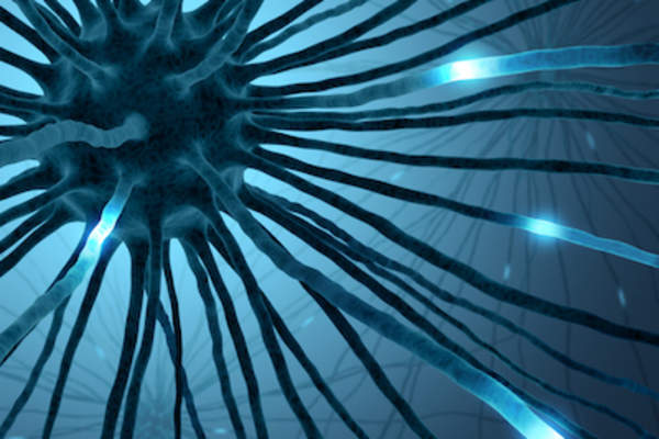 神经细胞,有可见电流。