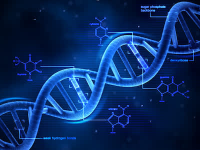 DNA双螺旋结构的概念
