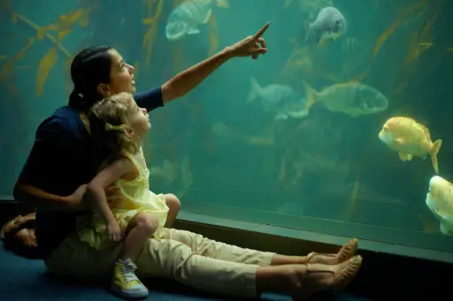 水族馆妈妈和孩子