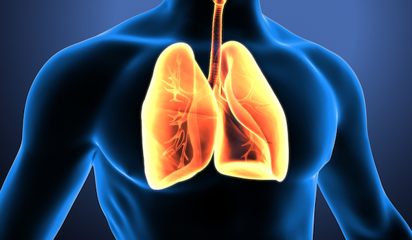 Ashtma: The Appendix of the Lungs - What is Asthma? - Asthma