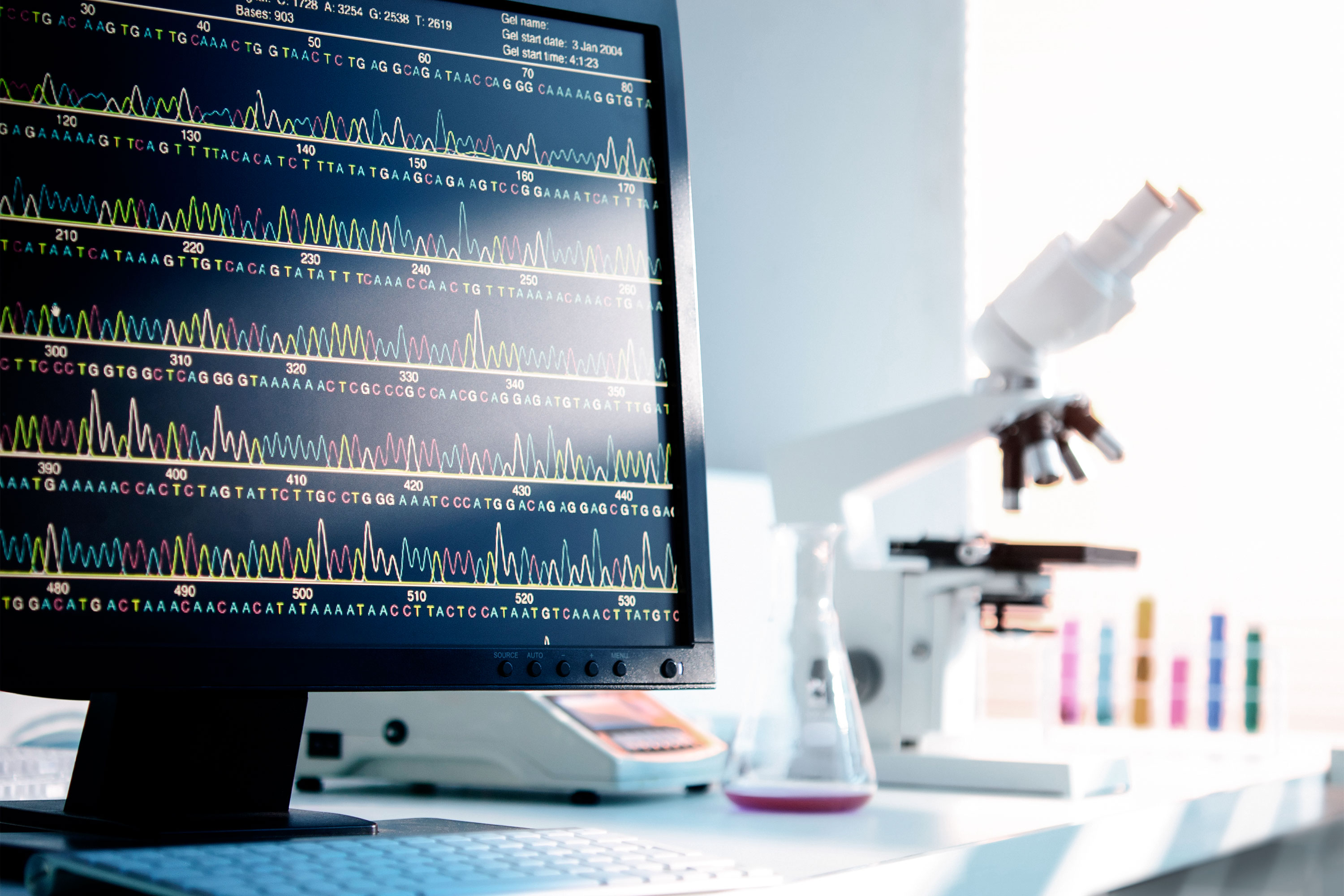 实验室计算机上的DNA序列视图