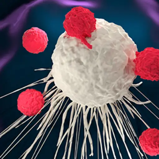免疫系统对抗癌细胞。