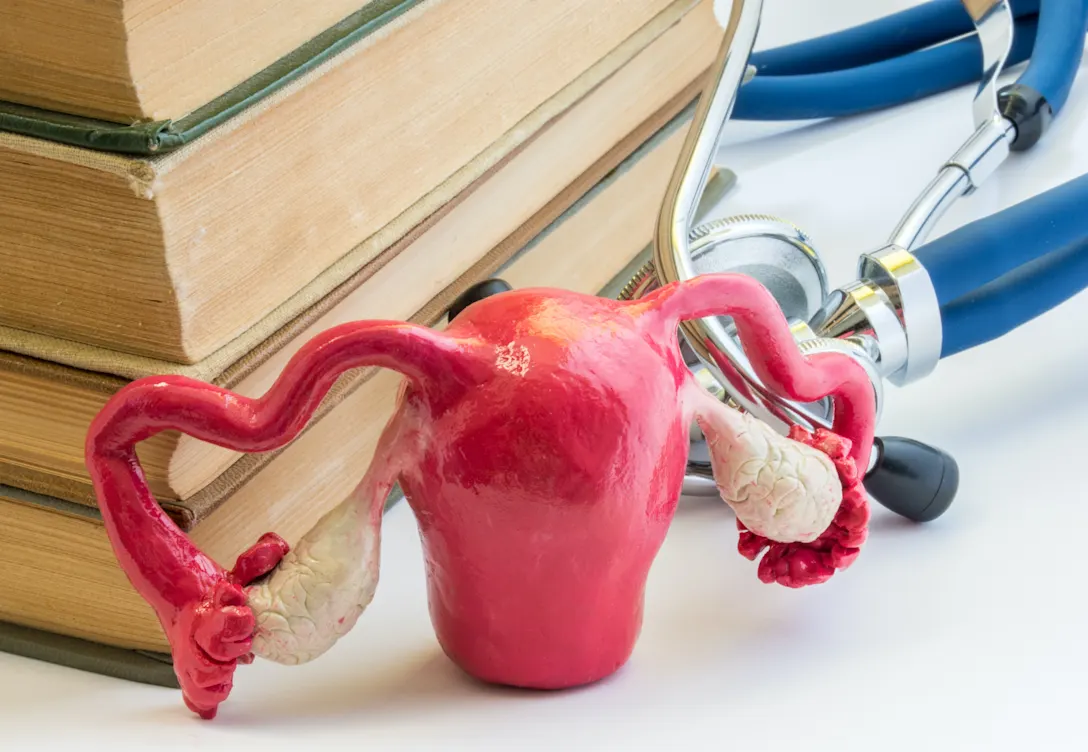 reproduction education