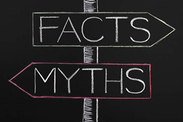 神话与事实之箭。