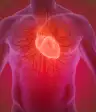 heart valves