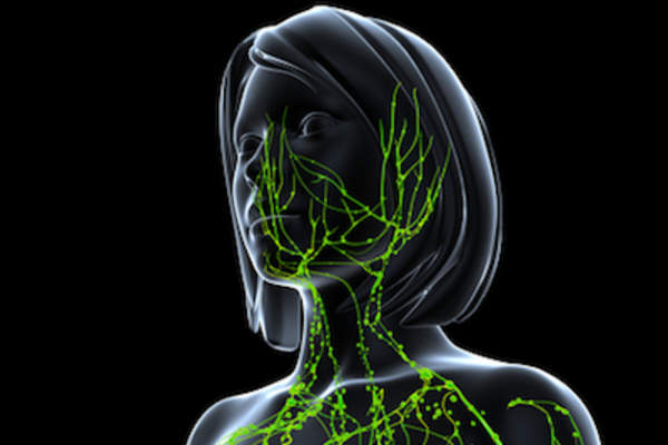 女性头部和颈部的突出淋巴系统。