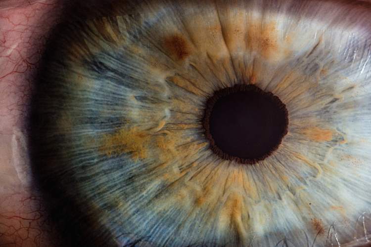 macro shot of hazel eye